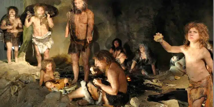 neandertales