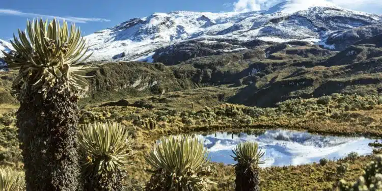 Los Andes