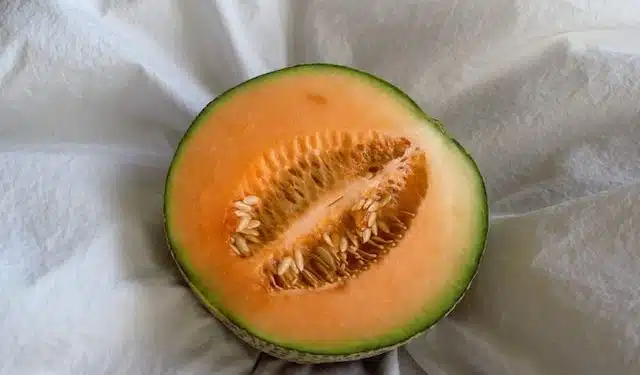 Melón