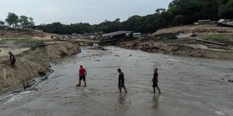 Amazonas