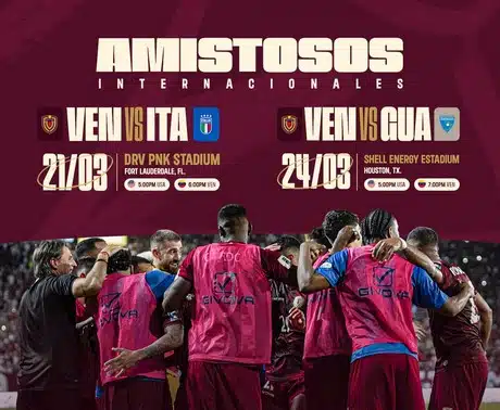 Vinotinto