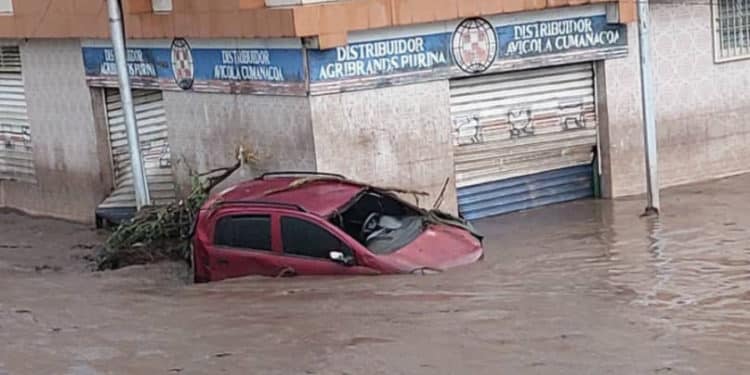 Cortesía Globovisión