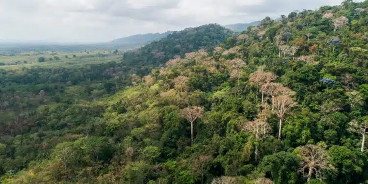 Panamá