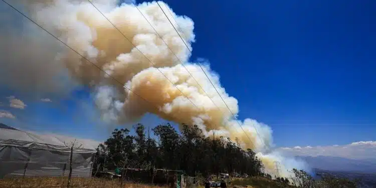 Fotografía de un incendio forestal este jueves en el Cerro Auki, en Quito (Ecuador). Los incendios forestales en Ecuador han arrasado más de 38.000 hectáreas de cobertura vegetal hasta el momento, mientras que en Quito, la capital, persisten focos de un gran incendio que se desató el pasado martes, devastando alrededor de 146 hectáreas en la zona centro-norte de la ciudad. EFE/ José Jácome