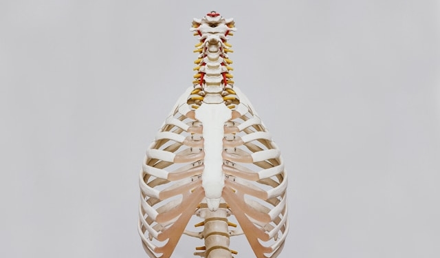parapléjico